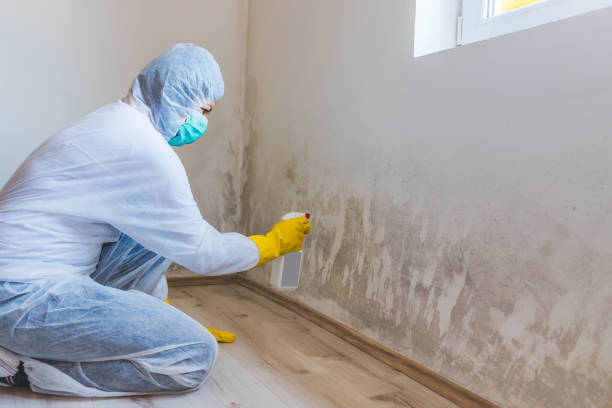 Best Forensic Mold Investigation  in Yorketown, NJ