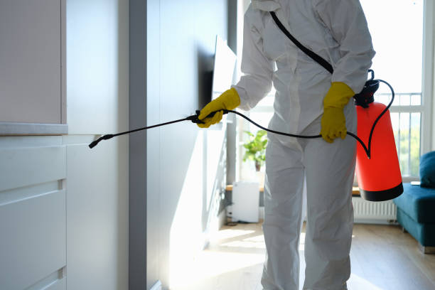 Best Mold Remediation for Healthcare Facilities  in Yorketown, NJ